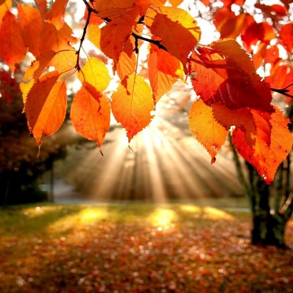 Meet your Posher, Rachel - Picture 1 of 1